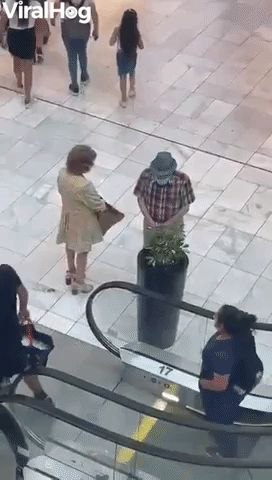 Grandparents Pull Plant from Pot in Mall