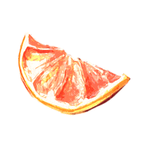 Fruit Gin Sticker by derkleinemuc