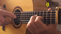 Man Impressively Plays Guitar Harmonics in Record Time