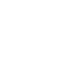 New Year Star Sticker