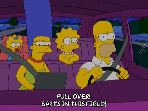 homer simpson car GIF