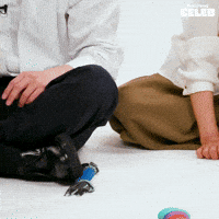 Puppy Crash GIF by BuzzFeed