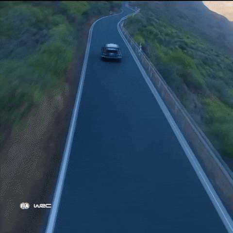 Fast Car Racing GIF by FIA World Rally Championship