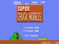 chuck norris GIF