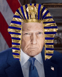 Donald Trump GIF