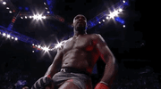 ufc 232 sport GIF by UFC