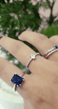 Papillojoias papillo papillojoias GIF