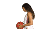 ElonPhoenixAthletics elon phoenix elonphoenix elon basketball elonbasketball Sticker