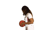ElonPhoenixAthletics elon phoenix elonphoenix elon basketball elonbasketball Sticker