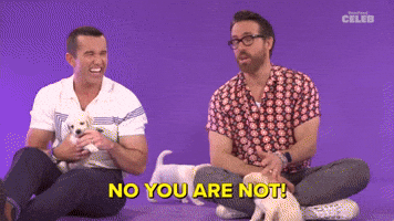 NO YOU ARE NOT