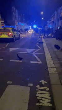 Two Dead as Police Respond to Reports of Gunshots in South London