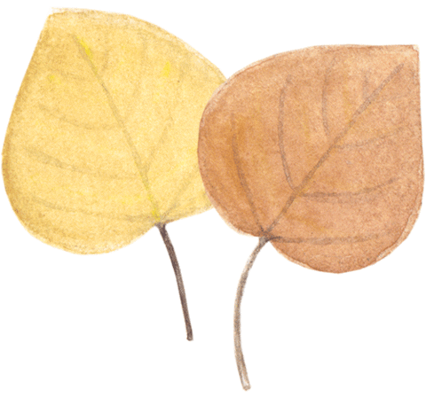 Leaves Leaf Sticker by amy zhang