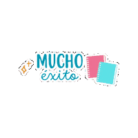 Studygramwithferlibretas studygramwithfer Sticker