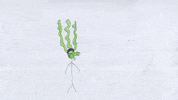 animation saf GIF