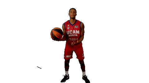 Liga Endesa Basketball Sticker by ACB