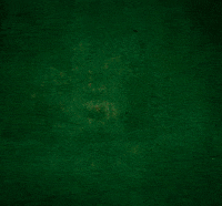 Ich Bin Ein Star Catwalk GIF by RTLde