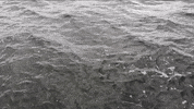 water waves GIF by IntelligentMobiles GmbH