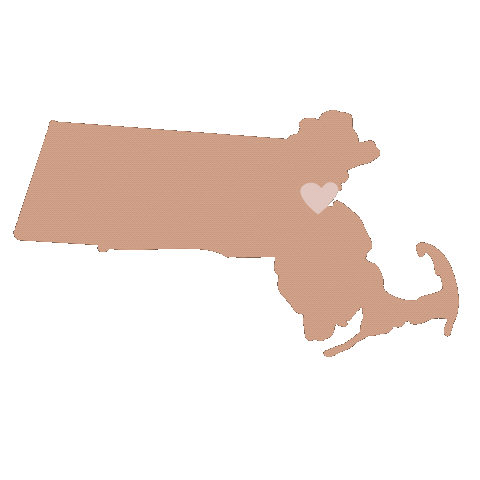 Boston Massachusetts Sticker by matelamade