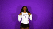 Clemsonvb Championshipbehavior GIF by Clemson Tigers