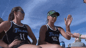 beach volleyball GIF by GreenWave