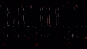 Video Art GIF by cskonopka