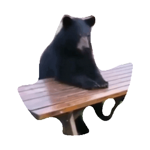 vine STICKER by imoji