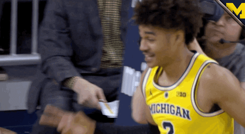 GIF by Michigan Athletics