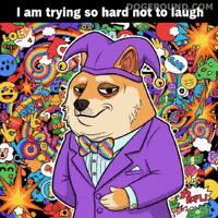 Rainbow Lol GIF by Doge Pound