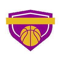 Basketball Hoops Sticker by Let's Party Prettier