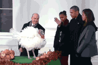barack obama potus GIF by Obama