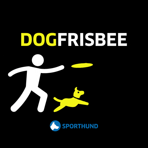 Dog GIF by Sporthund