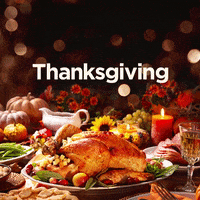 Christmas Thanksgiving GIF by Game Show Network