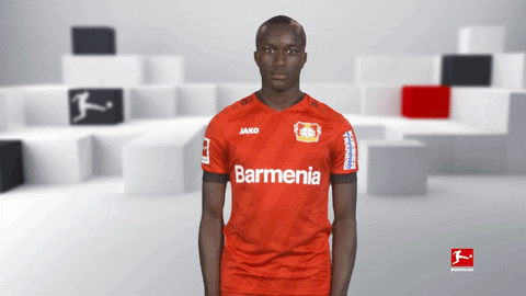 Line Up Reaction GIF by Bundesliga