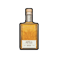 Party Celebration Sticker by Maya Pistola Agavepura