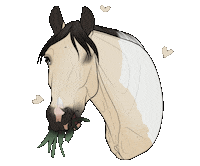 Horse Eating Sticker