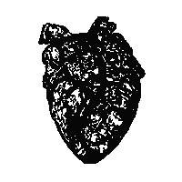 Heart Blood Sticker
