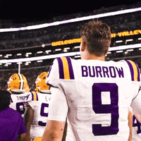 Lsu Football Lsufb19 GIF by LSU Tigers