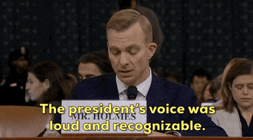 news impeachment impeachment inquiry opening statement david holmes GIF