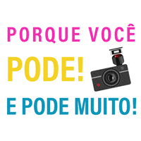 tmsgphotos dogs photo camera pictures GIF