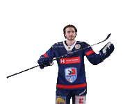 Tor Heilbronn Sticker by Heilbronner Falken