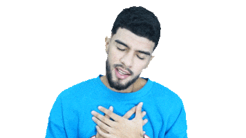 VidMusic amor corazon artista cantante Sticker