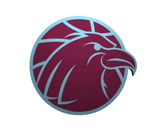 ArnhemEagles giphyupload basketball eagle ae Sticker