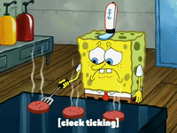 season 6 gullible pants GIF by SpongeBob SquarePants
