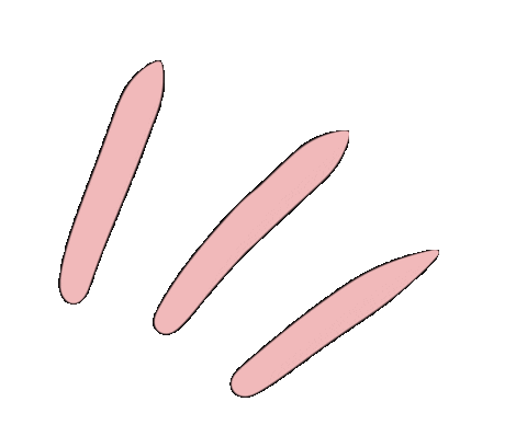 brittalsemgeest giphyupload lines burst pink burst Sticker