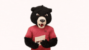 Lenoir Rhyne Hickory GIF by Lenoir-Rhyne University