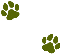 Paw Donate Sticker by Macattack