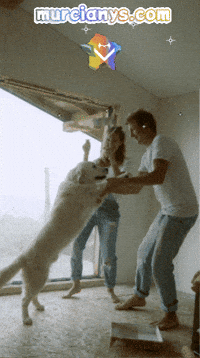Happy Dance GIF by Murcianys LLC