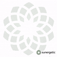 Suner GIF by Sunergetic