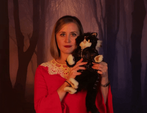 Sabrina The Teenage Witch Cat GIF by Halloween