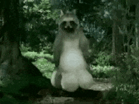 karma comment GIF